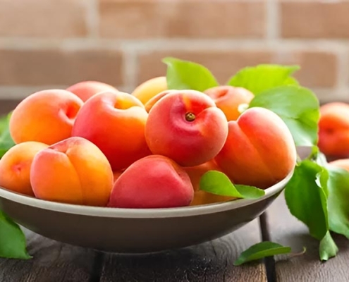 المشمش الإيراني بالجملة | شراء المشمش بكميات كبيرة + السعر