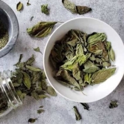 للريحان المجفف الإيراني بالجملة | شراء الريحان المجفف بكميات كبيرة + السعر