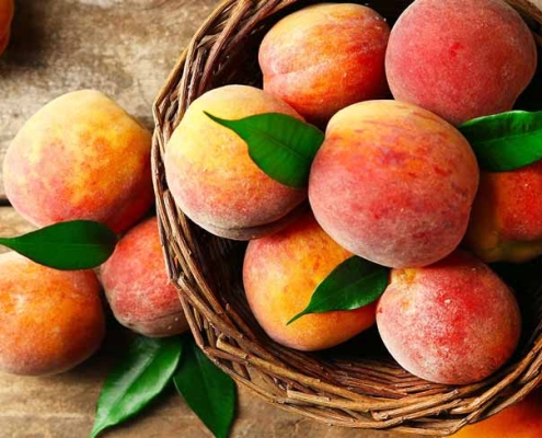 الخوخ الإيراني بالجملة | شراء الخوخ بكميات كبيرة + السعر