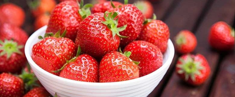 توت فرنگی الإيراني بالجملة | شراء التوت بكميات كبيرة + السعر